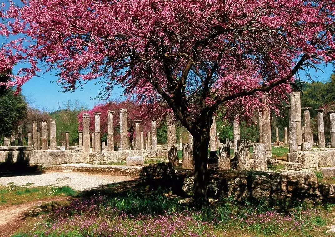 Εικόνα από τον προορισμό Κυλλήνη